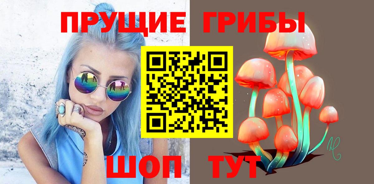 Псилоцибиновые грибы прущие грибы  Псилоцибиновые грибы MAGIC MUSHROOMS  Курчатов  Вход с VPN 
