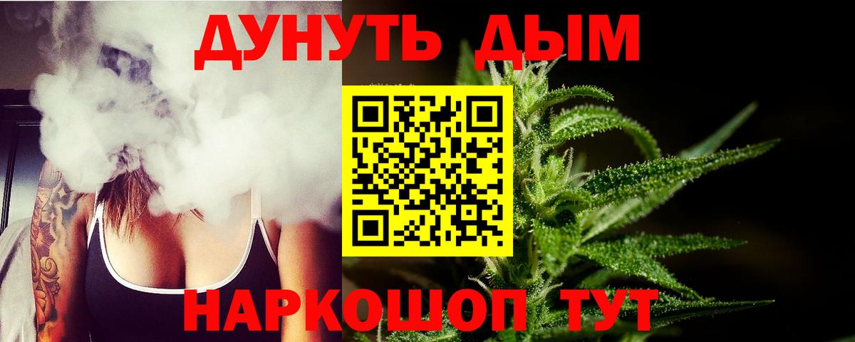 Курчатов  Канабис планчик  Вход с VPN  Марихуана Ganja  Каннабис индика 